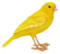 Vivid Arts Pet Pal (Canari)