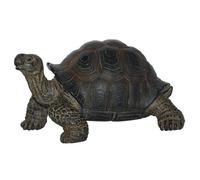 Vivid Arts Pet pal Petite Tortue avec Cage de Transport