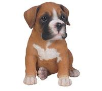 Vivid Arts Pet pals-cucciolo de Boxer, personnalisable