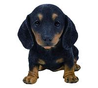 Vivid Arts - Pet Pals Décoration de maison ou de jardin en forme de teckel noir/marron