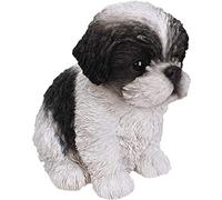 Vivid Arts Pet Pals Shihtzu chiot Noir et Blanc pp-szbk-f