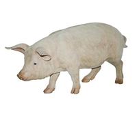 Vivid Arts Real Life Cochon Debout Taille Moyenne D