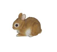 Vivid Arts Real Life Lapin