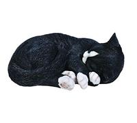 Vivid Arts Reproduction de Chat Qui dort Real Life - Taille B - Noir et Blanc