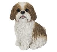 Vivid Arts - Shih-Tzu réaliste - XRL-SZ12-D