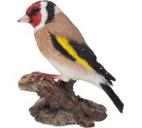 Vivid Arts WBC-GOLF-F Décoration pour la maison ou le jardin en résine en forme d’oiseau chardonneret