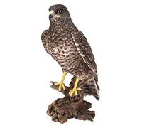 Vivid Arts XRL-BUZZ-B Buzzard en résine pour décoration de maison ou de jardin