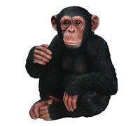 Vivid Arts XRL-CHM3-D Chimpanzé assis en résine pour décoration de maison ou de jardin