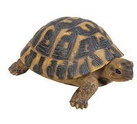 Vivid Arts XRL-Herm-B Tortue d'Hermann, Ornement en Résine