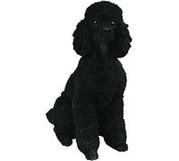 Vivid Arts XRL-PD12-B Ornement en résine, Chien Caniche Nain - Noir