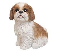 Vivid Arts XRL-SZ12-B Ornement en résine, Chien Shih Tzu Assis - Brun/Blanc