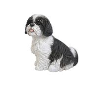 Vivid Arts XRL-SZ16-B Ornement en résine, Chien Shih Tzu Assis - Noir/Blanc