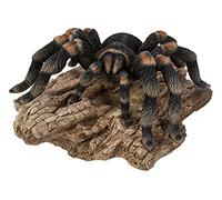 Vivid Arts XRL-TARA-D Tarantule sur bûche | Décoration de maison ou de jardin en résine