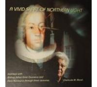 Vivid Shaft Of Northern Light