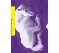Vivienne Dick : Between Truth and Fiction ( Beauty Becomes The Beast / Visibility Moderate / Like Dawn to Dust/ A Skinny Little Man Attacked Daddy / Sacc [ NON-USA FORMAT, PAL, Reg.0 Import - Fra