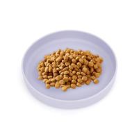 VIVIIHOO Gamelle pour Chats|Bol à Nourriture Plat pour croquettes et pâtée | Gamelle à Eau en Silicone |Assiette Ergonomique pour Chatons et Chiots |Bol d'eau | Couleur Cool Lilac | Bols pour Chats.