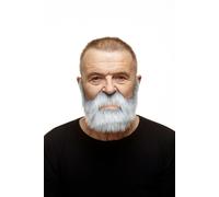 Viving Costumes 205036 Moustache, Multi Color, One Size