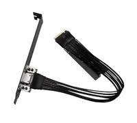 VIVIWI Câble d'extension vers 4i pour PC de bureau vers SFF8611 Cordon adaptateur PCIe Gen4 plaqué argent