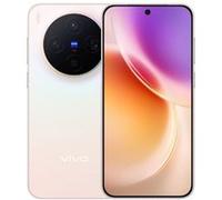 Vivo X300 Rose