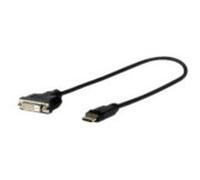 VivoLink Pro - Câble d'écran - DisplayPort (M) pour DVI-D (M) - verrouillé, vis moletées, support 4K