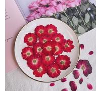 VIXDA 12 pièces/lot tête de Fleur séchée Naturelle pressée Grande Rose Plante pour résine époxy Pendentif Fabrication de Bijoux Artisanat Bricolage Nail Art Accessoires