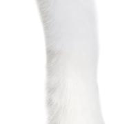 VIXDA 1M 4.5cm Bandes De Ruban De Fourrure De Lapin Artificielle Blanc Multicolore Vêtements Couture Moelleux Garniture Coupe Tissu DIY Costume De Noël Artisanat