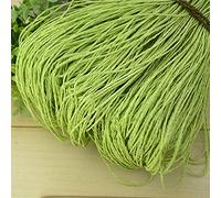 VIXDA 600 mètres 500g Fil de Paille de Raphia Naturel pour Tricot à la Main Crochet Chapeau d'été Sac à Main Coussin paniers matériel de Tricot Bricolage Artisanat
