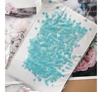 VIXDA 80 pièces/0,5-1,5 cm, Mini pétales de Fleurs Myosotis pressés, Couleur Teinte, véritable Mini Fleur, Bricolage, amélioration des Ongles, Photo Artisanale