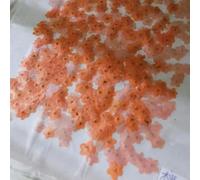 VIXDA 80 pièces/0,5-1,5 cm, Mini pétales de Fleurs Myosotis pressés, Couleur Teinte, véritable Mini Fleur, Bricolage, amélioration des Ongles, Photo Artisanale