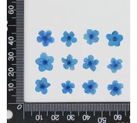 VIXDA 80 pièces/0,5-1,5 cm, Mini pétales de Fleurs Myosotis pressés, Couleur Teinte, véritable Mini Fleur, Bricolage, amélioration des Ongles, Photo Artisanale