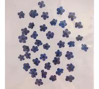 VIXDA 80 pièces/0,5-1,5 cm, Mini pétales de Fleurs Myosotis pressés, Couleur Teinte, véritable Mini Fleur, Bricolage, amélioration des Ongles, Photo Artisanale