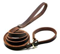VIXDA Laisse pour Chien en Cuir véritable, réglable, avec chaîne coulissante, Solide et Plate, idéale pour Le Dressage de Grands Chiens.