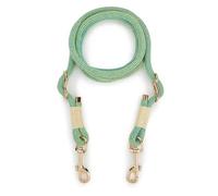 VIXDA Laisse pour Chien Mains Libres, Multifonction, Tendance, pour Petits, Moyens et Grands Chiens, idéale pour la Course, la Marche et l'extérieur