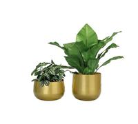 Vixdonos Lot de 2 Pots de Fleurs en métal avec Trou de Drainage Doré 15,2 cm Laiton doré.
