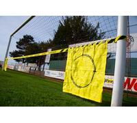 VIZOSOL = 76% des buts marqués au Football sont au Sol ! Outil d'aide à la Frappe de Balle au Foot