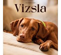 Vizsla Calendar 2027: Dog Portraits and Breed Scenes