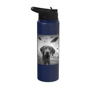 Vizsla UFO Stainless Steel Insulated Water Bottle