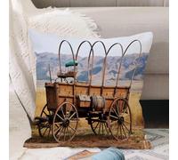 VJIZLOQB Housses de Coussin Court Peluche Carré Taie d'oreiller pour Sofa Canapé Chambre Chaise Domicile Décor,Western, Photo d'une Vieille calèche antillaise nostalgique de Style Fermier,40x40cm