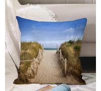 VJIZLOQB Housses de Coussin Court Peluche Carré Taie d'oreiller pour Sofa Canapé Chambre Chaise Domicile Décor,Sentier pédestre à Travers Les Dunes jusqu'à la Plage et l'ancienne jetée en,40x40cm