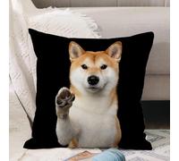 VJIZLOQB Housses de Coussin Court Peluche Carré Taie d'oreiller pour Sofa Canapé Chambre Chaise Domicile Décor,Portrait d'un Adorable Chien Shiba Inu. Il a l'air Amical, Donne la Patte,40x40cm