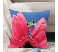 VJIZLOQB Housses de Coussin Court Peluche Carré Taie d'oreiller pour Sofa Canapé Chambre Chaise Domicile Décor,Décor Animalier, Jolie Petite Grenouille sur Une Fleur de Gerbera, Nature ma,50x50cm