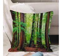 VJIZLOQB Housses de Coussin Court Peluche Carré Taie d'oreiller pour Sofa Canapé Chambre Chaise Domicile Décor,Arbre boisé, Séquoia Nord-Ouest Pittoresque Forêt Tropicale Nature Sauvage E,30x30cm