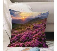 VJIZLOQB Housses de Coussin Court Peluche Carré Taie d'oreiller pour Sofa Canapé Chambre Chaise Domicile Décor,Prairie Fleurie dans la vallée de Montagne avec Horizon Ciel surréaliste mèr,40x40cm