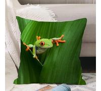 VJIZLOQB Housses de Coussin Court Peluche Carré Taie d'oreiller pour Sofa Canapé Chambre Chaise Domicile Décor,Ensemble d'animaux Sauvages, Jolie Grenouille aux Yeux Rouges Entre de Grand,45x45cm