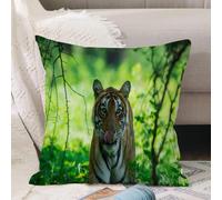 VJIZLOQB Housses de Coussin Court Peluche Carré Taie d'oreiller pour Sofa Canapé Chambre Chaise Domicile Décor,Une tigresse aperçue Pendant la mousson Lorsque la forêt Ressemble à Un tapi,50x50cm
