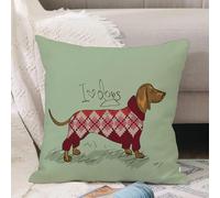 VJIZLOQB Housses de Coussin Court Peluche Carré Taie d'oreiller pour Sofa Canapé Chambre Chaise Domicile Décor,Illustration avec Un Chien Teckel habillé de vêtements tricotés,40x40cm
