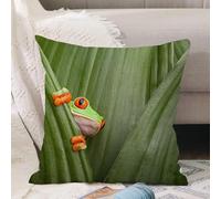 VJIZLOQB Housses de Coussin Court Peluche Carré Taie d'oreiller pour Sofa Canapé Chambre Chaise Domicile Décor,Décoration Animale, Grenouille arboricole aux Yeux Rouges empilée Entre,50x50cm