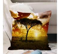 VJIZLOQB Housses de Coussin Court Peluche Carré Taie d'oreiller pour Sofa Canapé Chambre Chaise Domicile Décor,Paysage de Safari, Arbre Unique au Coucher de Soleil Africain de rêve avec d,50x50cm