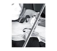 VL21C Lanen Violon - Alto