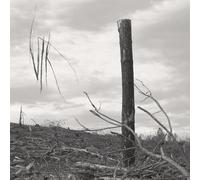 Vlk - Solastalgia i